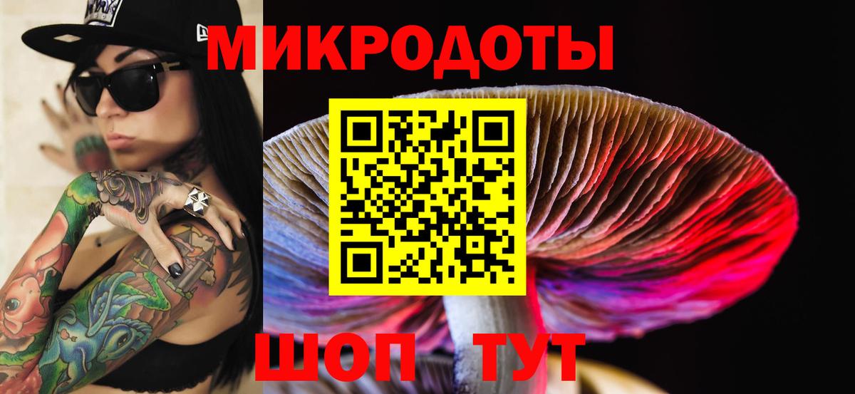 Галлюциногенные грибы Psilocybe Воскресенск
